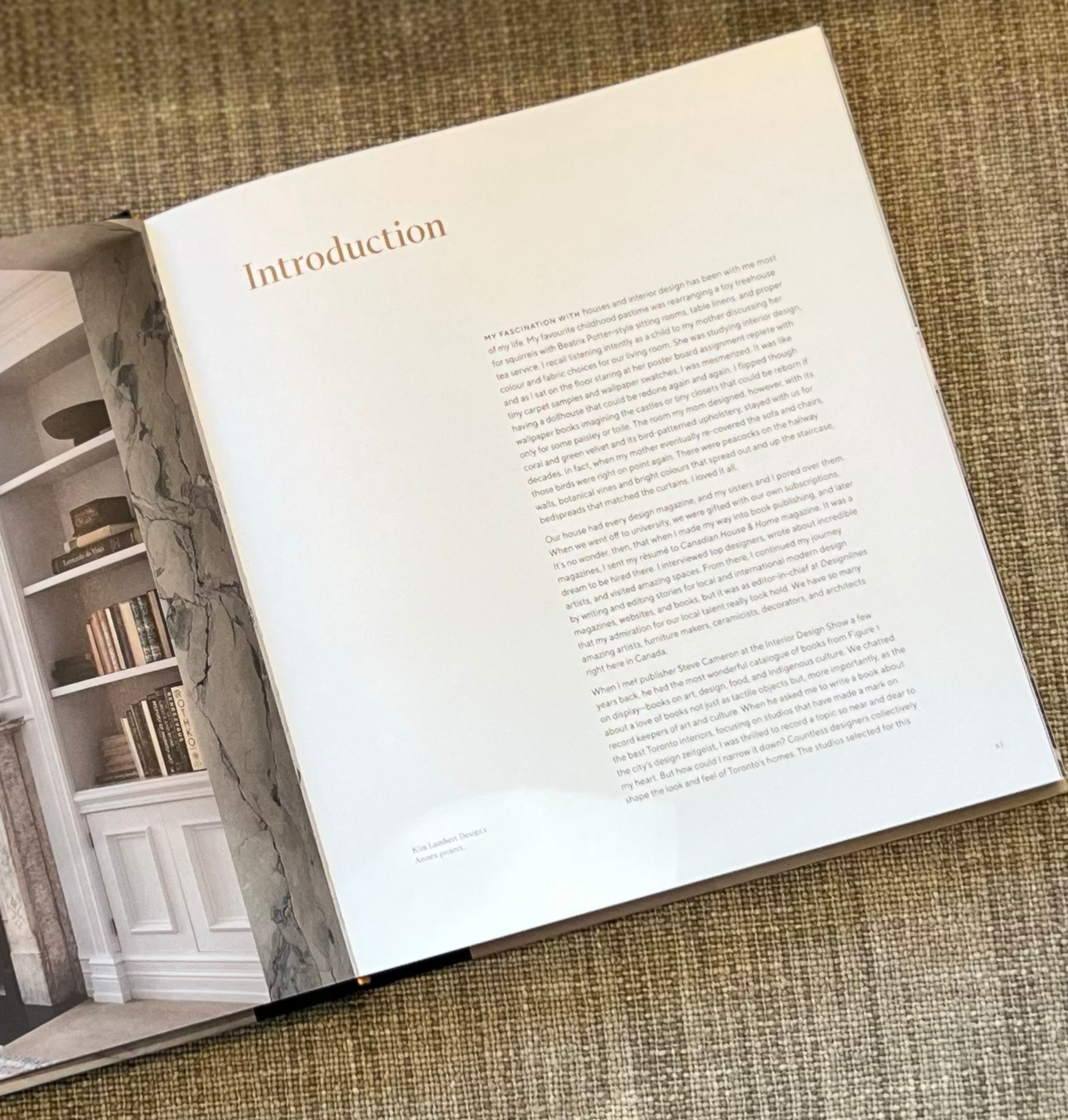 Toronto Interiors: Modern Residential Design